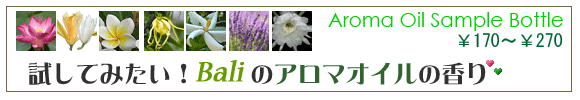 �o���̃A���}�I�C���̃T���v���{�g��