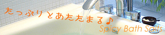 �����Ղ�Ɖ��܂�X�p�C�V�[�o�X�\���g