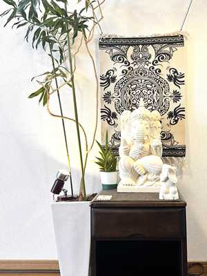 ガネーシャ大・11210