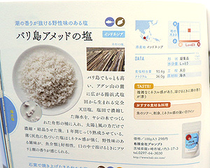 日本と世界の塩の図鑑